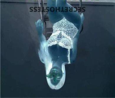 Launces 25Yrs Old Escort Size 8 Launceston Image - 2