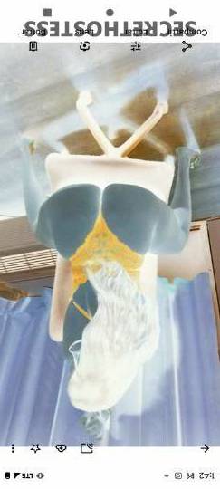 Lorena 30Yrs Old Escort Sarasota FL Image - 2
