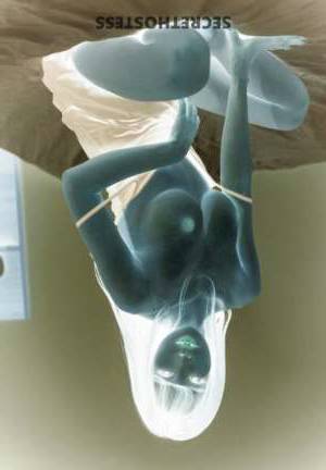 22 year old Escort in San Diego CA Your satisfaction is our pleasure! Petite Barbie doll for 