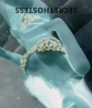 22Yrs Old Escort 164CM Tall Brisbane Image - 8