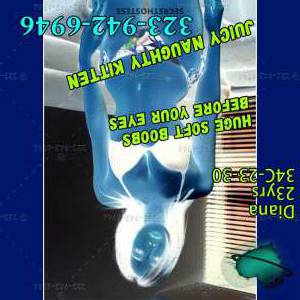 23Yrs Old Escort San Jose CA Image - 1