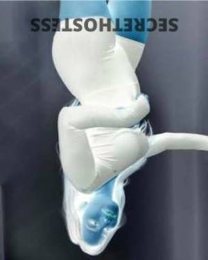 25 year old Escort in Darwin Hi there! It's me in Darwin, and the weather has been 