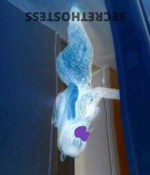 35Yrs Old Escort Melbourne Image - 2