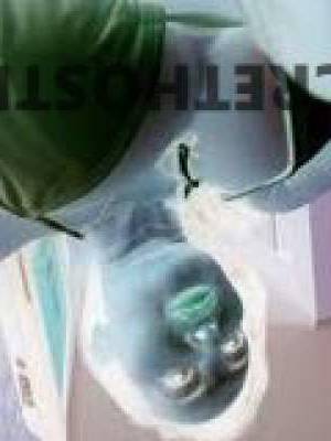 38 year old Malaysian Escort in Booral Hervey Bay Erotic Ava in The Bay