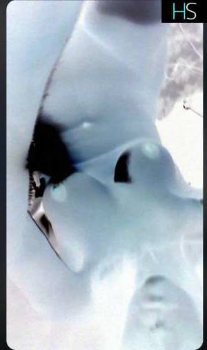 45Yrs Old Escort 170CM Tall Owen Sound Image - 2