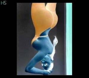 Anita 25Yrs Old Escort Sheffield Image - 3
