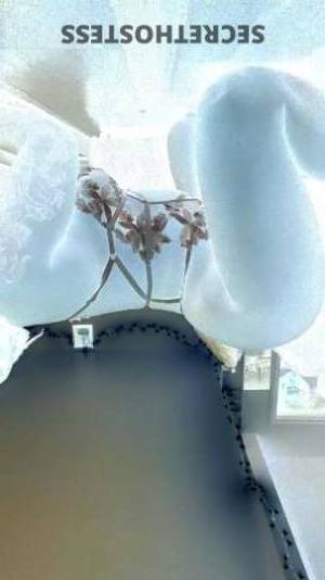 Kandy 25Yrs Old Escort Saint Louis MO Image - 1