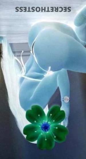 Luna 25Yrs Old Escort Odessa TX Image - 1