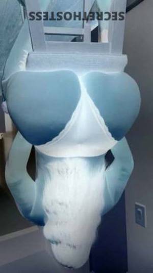 28 year old Latino Escort in Chicago IL The All-New Latina Hottie in the Midway Area 100% Real 