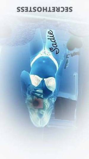 Sadie 25Yrs Old Escort Albuquerque NM Image - 4