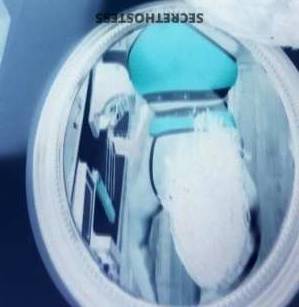 Sarah 31Yrs Old Escort Pittsburgh PA Image - 3