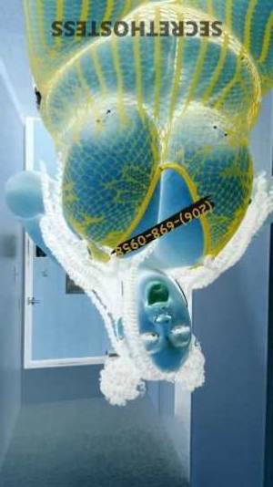 23 year old Escort in Southern Maryland DC Let Me Take You on the Ride of Your Life! Starr (Zae), 100