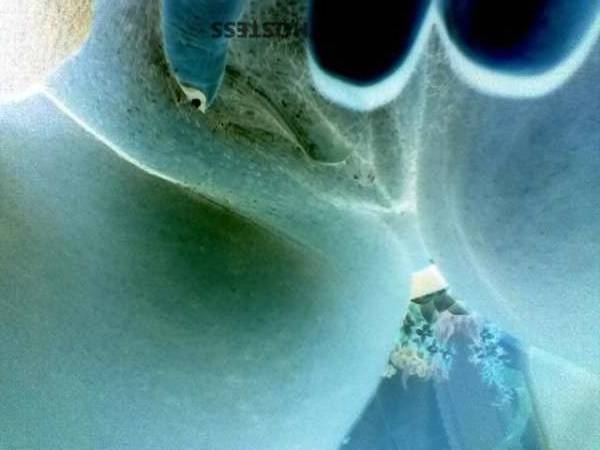 CocoCainnorwood 50Yrs Old Escort Savannah GA Image - 5