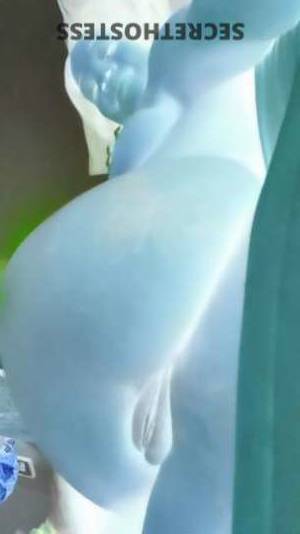 22 year old Escort in St. Louis MO two girls available for incall, slim and sexy, with long 