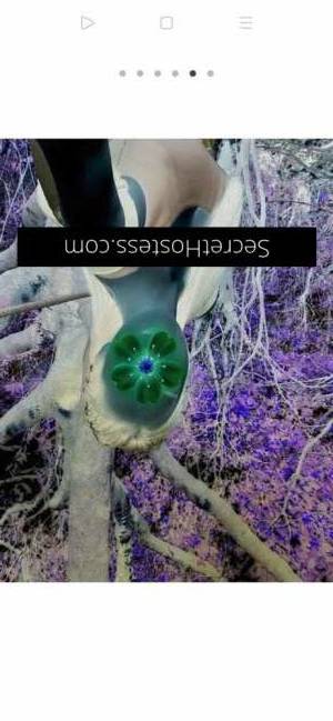25 year old Asian Escort in Gold Coast Attractive Asian Babe for Flirty Encounters