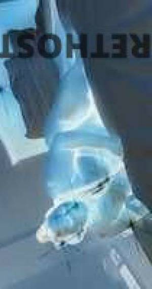 26 year old Escort in Memphis TN Unleash Your deepest Desires Candy's Sensational 