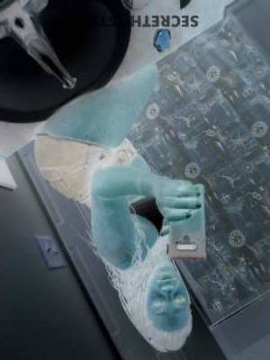 27 year old New Zealander Escort in Memphis TN Kiwi Brunette, Brown Eyes, 140 Pounds, 5'8", 34B 