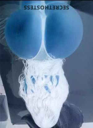 Alisha 27Yrs Old Escort Greenville SC Image - 4