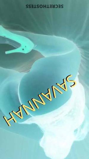 Aries&Savannah 28Yrs Old Escort Buffalo NY Image - 6