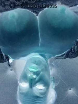 41 year old Asian Escort in Phoenix AZ Juicy and Buxom Asian Beauty for Distinguished Gentlemen