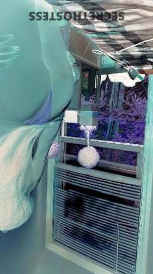 23 year old Escort in Queens NY Experience Ecstasy The Ultimate Companion for Pleasure and 