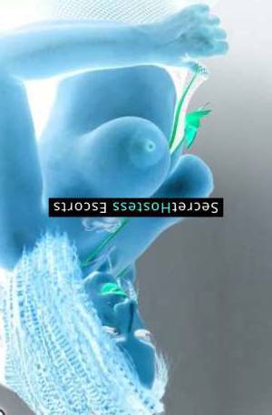 28 year old Escort in Saint Julian Refined Yet Playful Escort Seeks Traveling Companion