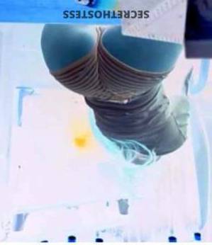 JizelleNexus 29Yrs Old Escort Philadelphia PA Image - 3