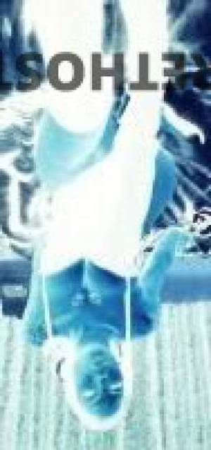 London 26Yrs Old Escort San Antonio TX Image - 5
