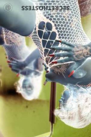 Luna 22Yrs Old Escort 154CM Tall Houston TX Image - 2