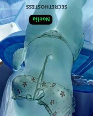 25 year old Colombian Escort in Miami FL Unforgettable Noelia Authentic Colombian Mamacita for 