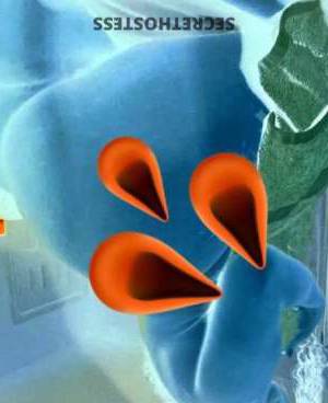 29 year old Escort in Killeen TX Upscale Delight "Tasty" Should Be Your One-Stop 