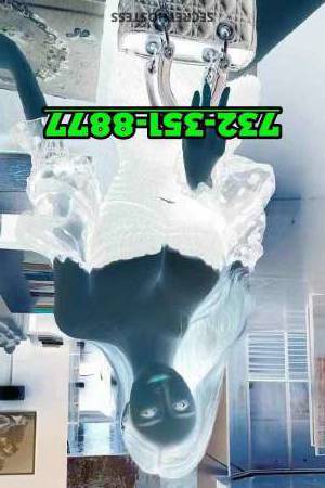 22Yrs Old Escort Jersey City NJ Image - 2