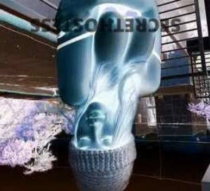 22 year old Escort in Aroona Sunshine Coast Unleash Your Wild Desires with a Sensual Vixen An Erotic 