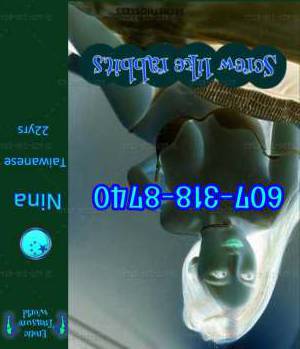 23Yrs Old Escort Queensbury NY Image - 1