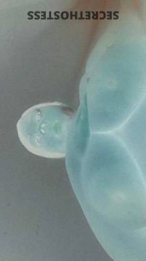 23Yrs Old Escort Sacramento CA Image - 1