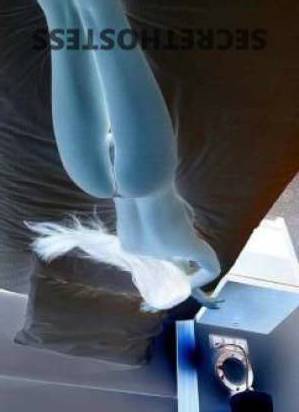 23 year old Escort in Balmoral Hervey Bay I'm Sexy, Slim, and Ready to Take You on a Wild Ride! 