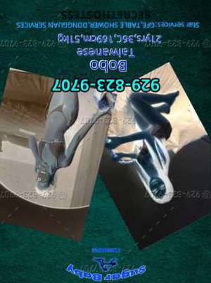 25Yrs Old Escort 51KG 163CM Tall Philadelphia PA Image - 3