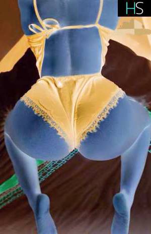 26 year old Caribbean Escort in Longueuil Sarada Elegance @AZUL