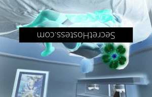 27Yrs Old Escort Adelaide Image - 4