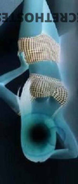 35 year old Escort in Mandurah Thirsty MILF in Mandurah wants your cock
