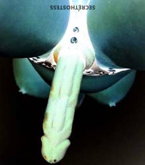 37Yrs Old Escort Brooklyn NY Image - 1