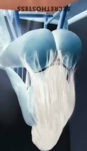 26 year old Hispanic Escort in New Haven CT Sensual and Horny hottie Andrea seeks gentlemen for naughty 