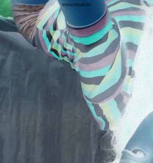 Andrea Lugo 25Yrs Old Escort 170CM Tall Halifax Image - 6