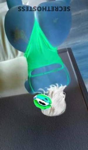 Cheyla 26Yrs Old Escort Bradenton FL Image - 1