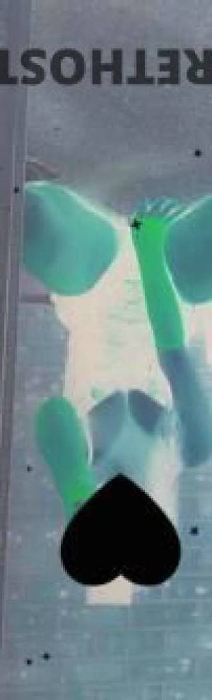 Cindy 29Yrs Old Escort Maitland Image - 8