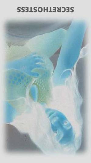 Diamond 23Yrs Old Escort Miami FL Image - 6