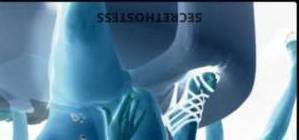 32 year old Escort in Bradenton FL Experience Pure Bliss and Relaxation with My VIP Escort 