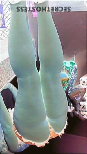 Jay 36Yrs Old Escort Pensacola FL Image - 7