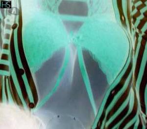 35 year old Caucasian Escort in Dublin I Am Maria Your Personal Oasis of Bliss in D6 Rathmines