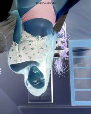 24 year old Escort in Frankfurt Mira, escort